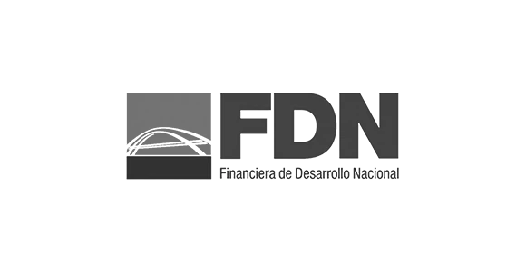 FDN
